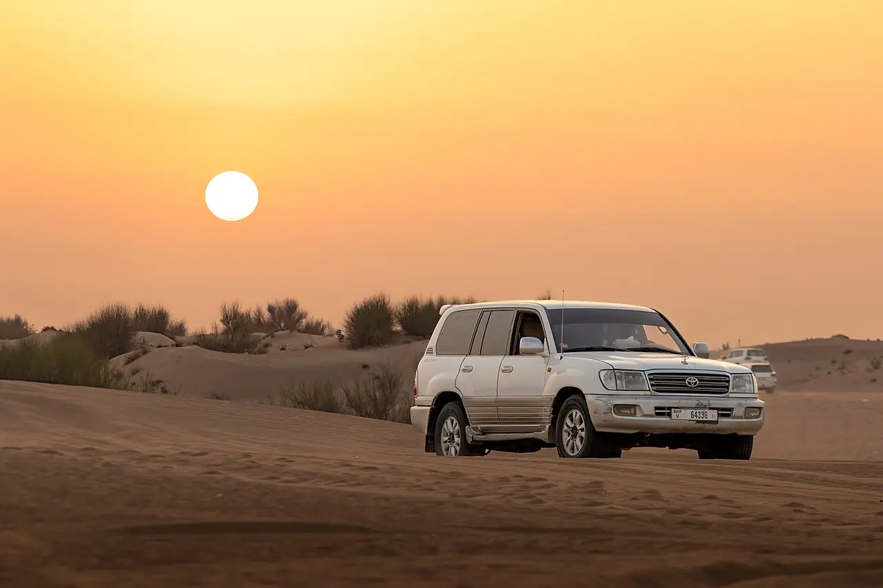 Desert safari